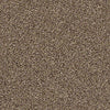 Ensemble Residential Carpet