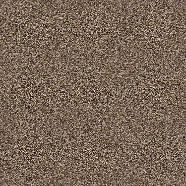 Ensemble Residential Carpet