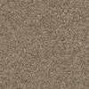 Ensemble Residential Carpet