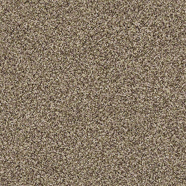 Ensemble Residential Carpet