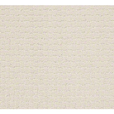Pawstruck Residential Carpet