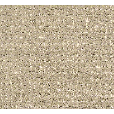 Pawstruck Residential Carpet