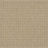 Pawstruck Residential Carpet