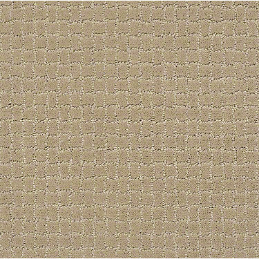 Pawstruck Residential Carpet