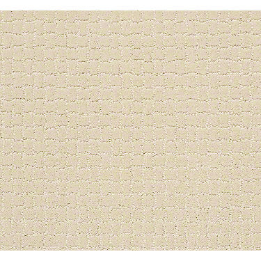 Pawstruck Residential Carpet
