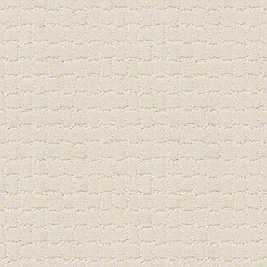 Pawstruck Residential Carpet