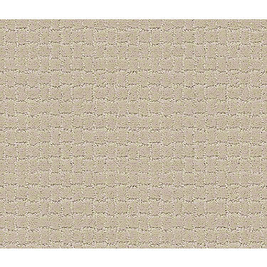 Pawstruck Residential Carpet