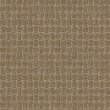 Pawstruck Residential Carpet