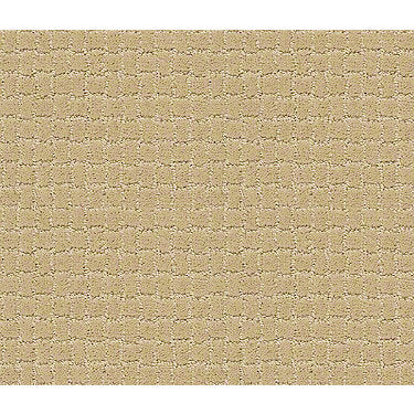 Pawstruck Residential Carpet