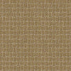 Pawstruck Residential Carpet