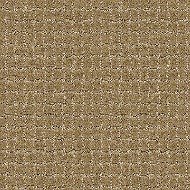 Pawstruck Residential Carpet