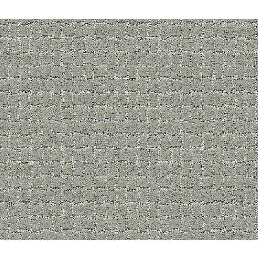 Pawstruck Residential Carpet