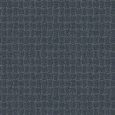 Pawstruck Residential Carpet