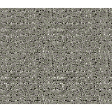 Pawstruck Residential Carpet