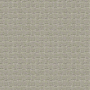 Pawstruck Residential Carpet