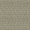 Pawstruck Residential Carpet