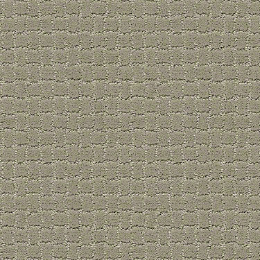 Pawstruck Residential Carpet