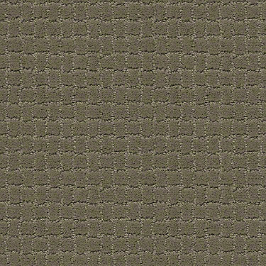 Pawstruck Residential Carpet