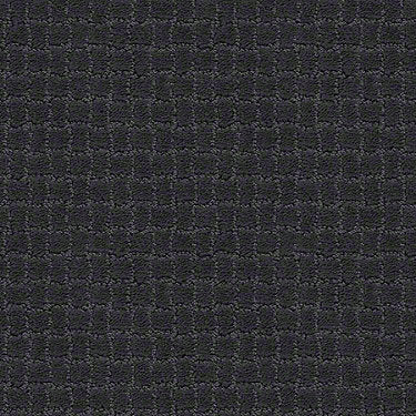 Pawstruck Residential Carpet