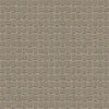 Pawstruck Residential Carpet