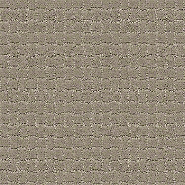 Pawstruck Residential Carpet