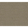 Pawstruck Residential Carpet