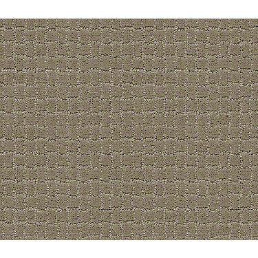Pawstruck Residential Carpet