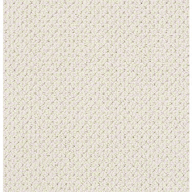 Mera Residential Carpet