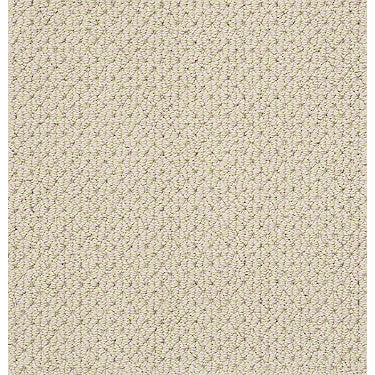 Mera Residential Carpet