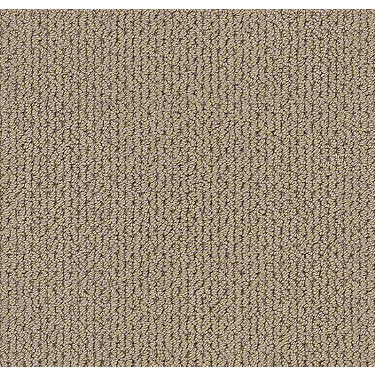 Mera Residential Carpet
