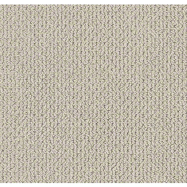 Mera Residential Carpet
