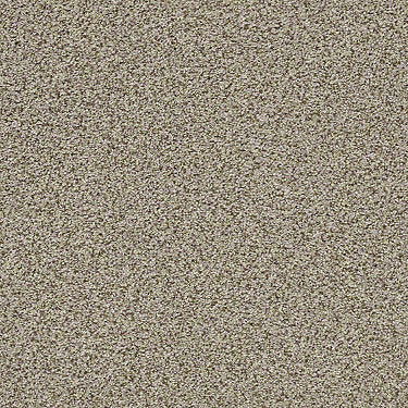 The Bark Side II Residential Carpet
