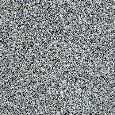 The Bark Side II Residential Carpet