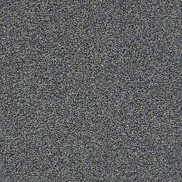 The Bark Side II Residential Carpet