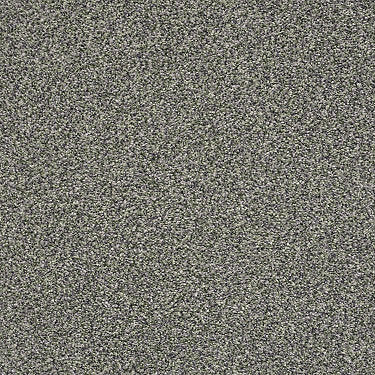 The Bark Side II Residential Carpet
