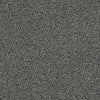 The Bark Side II Residential Carpet
