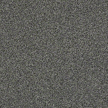 The Bark Side II Residential Carpet