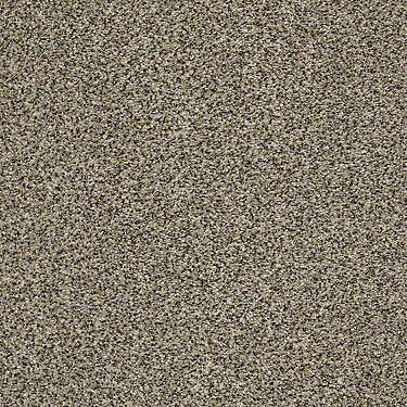 The Bark Side II Residential Carpet
