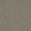 The Bark Side II Residential Carpet