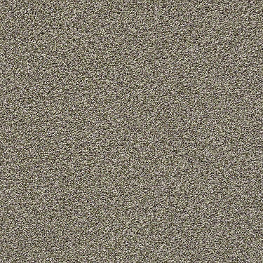 The Bark Side II Residential Carpet