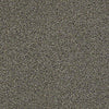 The Bark Side II Residential Carpet