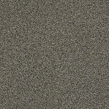 The Bark Side II Residential Carpet