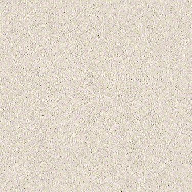 Pawparazzi I Residential Carpet