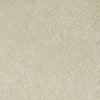 Pawparazzi I Residential Carpet