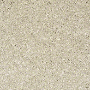 Pawparazzi I Residential Carpet