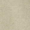 Pawparazzi I Residential Carpet