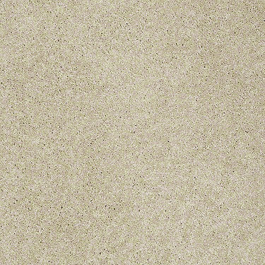 Pawparazzi I Residential Carpet