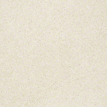 Pawparazzi I Residential Carpet