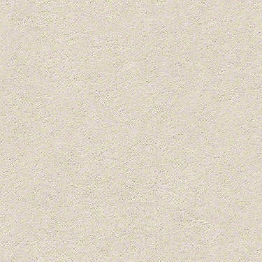 Pawparazzi I Residential Carpet