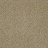 Pawparazzi I Residential Carpet